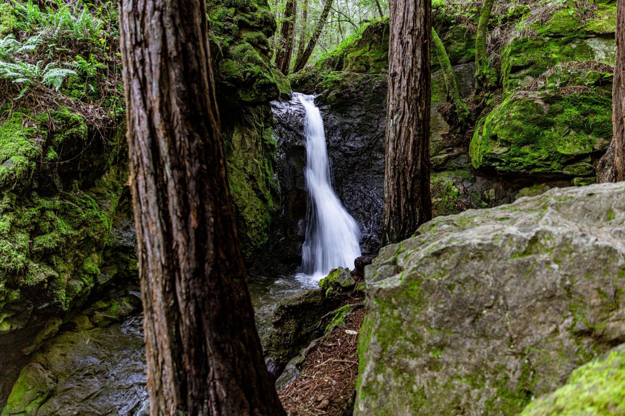 Enchanted Waterfall Sanctuary 밀밸리 외부 사진