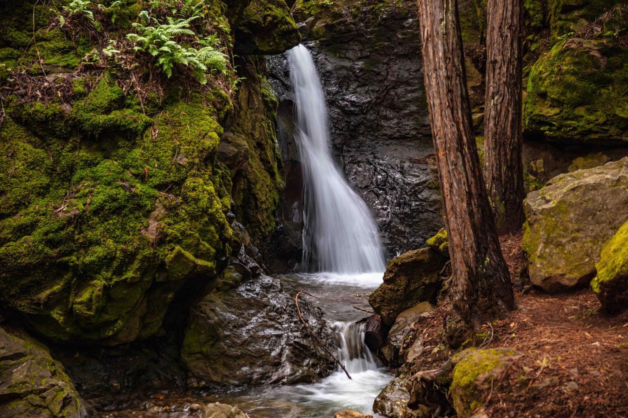 Enchanted Waterfall Sanctuary 밀밸리 외부 사진